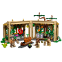 LEGO Harry Potter 76445 : Cours de botanique à Poudlard