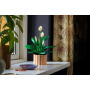 Fleurs de lune LEGO Botanical 11504 – Décoration florale unique
