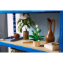 Fleurs de lune LEGO Botanical 11504 – Décoration florale unique