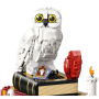 LEGO Harry Potter 76466 - L’école des sorciers Édition Collector