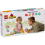 Train des animaux LEGO DUPLO 10412 - Jeu éducatif 18 mois+