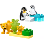 Familles d’animaux sauvages : pingouins et lions LEGO Duplo 10442