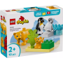 Familles d’animaux sauvages : pingouins et lions LEGO Duplo 10442