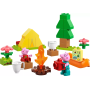 Les vacances au camping  LEGO Duplo 10452