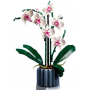 L’orchidée LEGO Bonaticals 10311 – Décoration florale réaliste