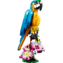 Le perroquet exotique LEGO Creator 31136