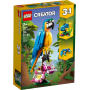 Le perroquet exotique LEGO Creator 31136