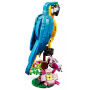 Le perroquet exotique LEGO Creator 31136