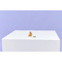 L’adorable hamster et la fleur LEGO Creator 31376