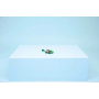 La tortue et la fleur de nénuphar LEGO Creator 31377