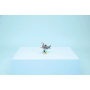 Le redoutable requin et le coffre au trésor LEGO Creator 31381