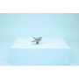 Le redoutable requin et le coffre au trésor LEGO Creator 31381