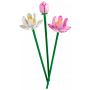 Les fleurs de lotus LEGO Objets divers 40647