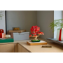 Bonsaï d’érable rouge LEGO Botanicals 10348 – Décor zen sans entretien