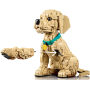 Chiot Golden Retriever LEGO Icons à construire - 2 102 pièces