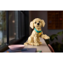Chiot Golden Retriever LEGO Icons à construire - 2 102 pièces