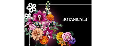 BONATICALS COLLECTION